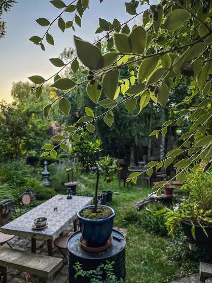 jardin l'arome antique